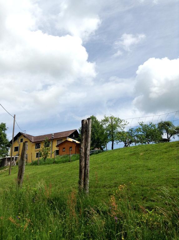 Gasthof-Pension Silvia Haibach ob der Donau Bagian luar foto